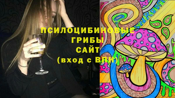 шишки Гусев